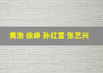 黄渤 徐峥 孙红雷 张艺兴